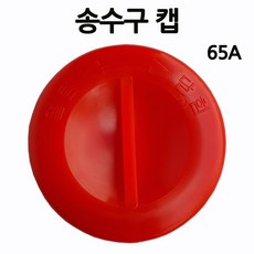 송수구마개