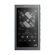 SONY 소니 워크맨 A NW-A55 16GB, Grayish black