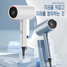 PYHO 접이식 헤어드라이기 전문가용 이온 헤어 드라이어 2000W, 푸른 색