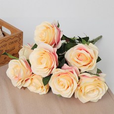 4d2aae118d294a35d08ebcd5586a69fbdea25f347fc2c075e390506ed0ee.jpg