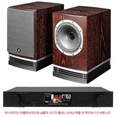 칵테일오디오 N25AMP+파인오디오(Fyne Audio) F500