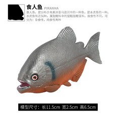 백상아리장난감