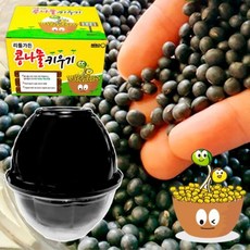 어린이학습용콩나물키우기