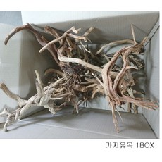 a07e336b421ca6c576dcc89493527fb916629c486833fbcb77ab7b5b960e.jpg