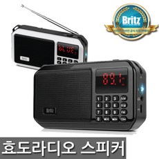 bz-lv980