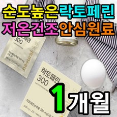 애플망고건조