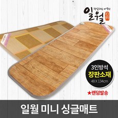 2021년형 일월 미니 싱글매트 장판소재 3인용 방석 전기방석, 상세설명 참조, 없음