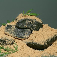 밥알쑥떡