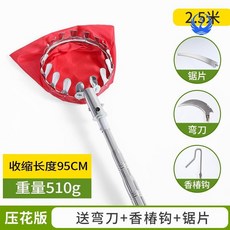 망고자두