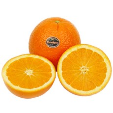 9873875197bb71e9ade1bb94268555abe504901476b23da2af4ae51cb955.jpg