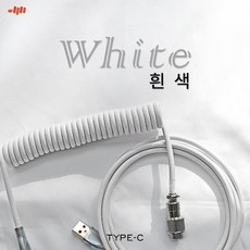 c타입항공케이블