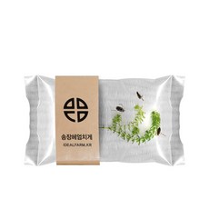 송장헤엄치게