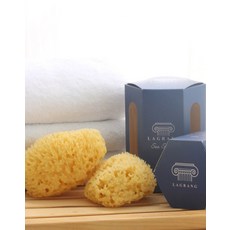 라그랑천연해면