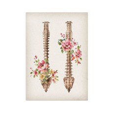 해골 해부학 캔버스 아트 포스터 및 인쇄 해골 척추 의료 캔버스 회화 클리닉 홈 장식, 20X30cm 프레임이없는, CS629-13