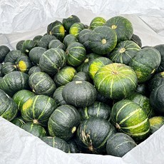 국산 영주 단호박, 1개, 3kg [2-5알]