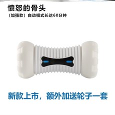 반려동물펫푸드스타일리스트