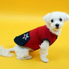 텐바이텐키즈캐리어