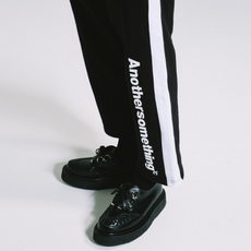 이누스프로베이직