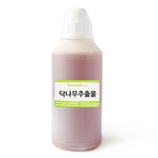 닥나무뿌리
