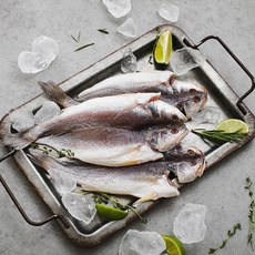 [자연맛남] 밥도둑 반건조 대 민어조기 5미(700g/개별포장), 1개, 상세 설명 참조