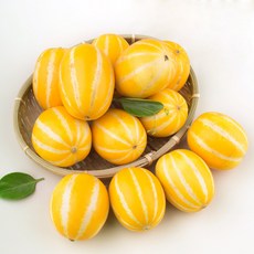 성주 당도선별 미니참외, 1.5kg(6입~9입), 1봉