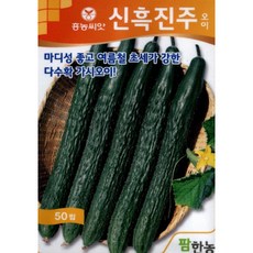 보석광내는천