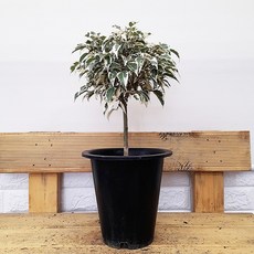 68f47db2b220758453243655e445bb65aea1380b4aa5de734244ef0d0048.jpg