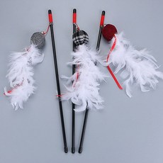 반려동물스노우볼