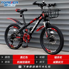 비싼자전거