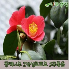 78d9fde41b6a8ed03a2360634d9c97f955028b4beb8fedf22b9e504730e1.jpg