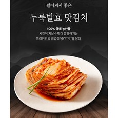 뜨레찬 김치 특별가 누룩발효 맛김치