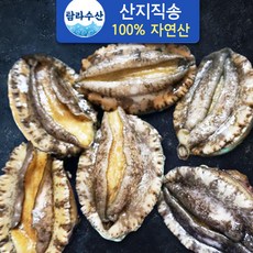 [산지직송] 전복 해녀가 채취한 자연산전복 중소 사이즈 550g