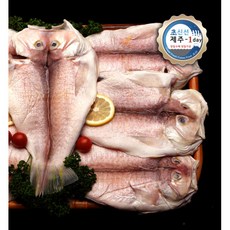 [초신선제주-원데이] [초신선제주-1day] 제주 프리미엄 구이용 홍옥돔 (중대2.2kg, 1개