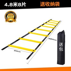 감각통합사다리