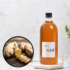 천연발효 전통방식 국내산생강식초, 1개, 1000ml