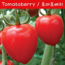 e697e1b837817a07228529d3088d29af2dfbb666c4e1810071113607e5c3.jpg