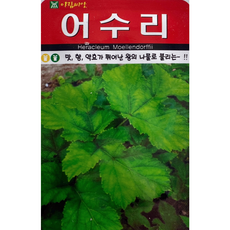 어수리잎생것영양성분