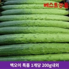 취청오이백오이