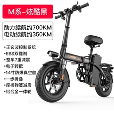 독일세발자전거유아