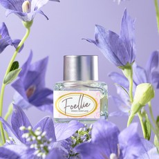 포엘리에 이너퍼퓸 본보야지 에디션 오드튈르리 여성청결제, 5ml, 1개
