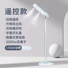 고출력 헤어드라이어 스탠딩 저소음 스탠드 음이온 드라이어 각도조절, 원형홀플러그리모콘모델(한국및유럽)