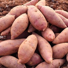 히동이네 산지직송 황토밭재배 영암 꿀고구마 중 5kg, 없음, 상세설명 참조