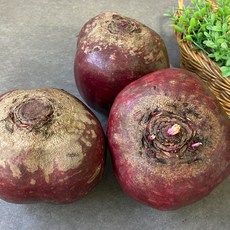 자담땅끝 제주 레드비트 중품 (3kg 5kg 10kg), 3kg