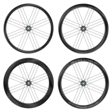 캄파놀로보라wto