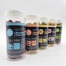 또다나 2088 강아지 국산 수제영양제 180g, 피부 1통, 1개