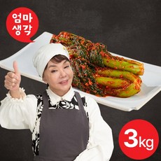 [KT알파쇼핑]김수미 엄마생각 갓김치3kg, 1개, 3kg