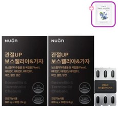 뉴온 관절UP 보스웰리아 & 가자 800mg*30정+블루베리1팩, 2박스+사은품