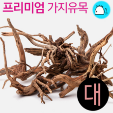 프리미엄 가지유목 - 대 (25cm 이상) 유목