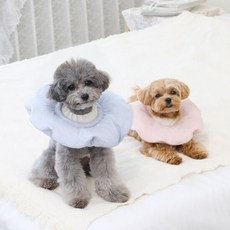 오도넛넥카라