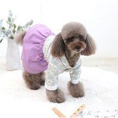 패리스독단아한복